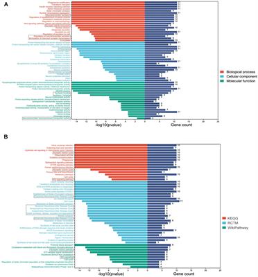 Methylome-wide association study of different responses to risperidone in schizophrenia